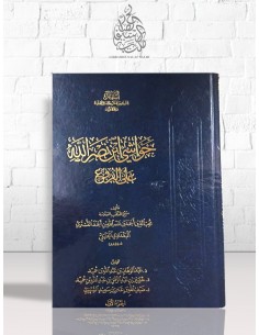 حواشي ابن نصر الله على الفروع - ابن نصر الله الحنبلي