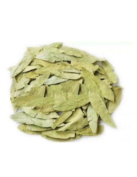 Feuilles de Sénné Makki