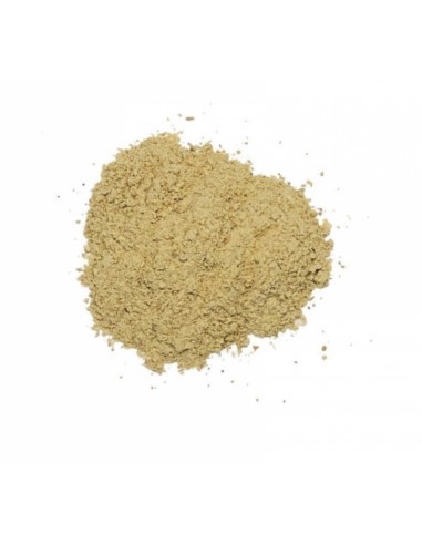 Costus marin en poudre  Sachet kraft de 100G