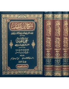 شرح ابن عقيل على ألفية ابن مالك 2