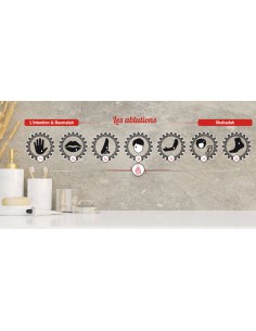 Pack STICKERS ABLUTION...