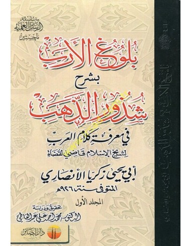 بلوغ الارب بشرح شذور الذهب في معرفة كلام العرب 1/3