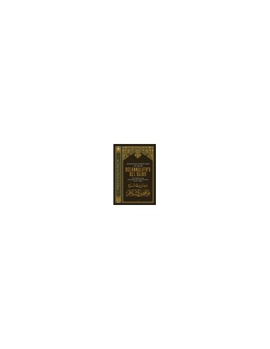 Leçons dans l'explication de l'épître Des annulatifs de l'Islam de Muhammad Ibn Abd Al-Wahhab, par Salih al Fawzan ibn al Fawzan