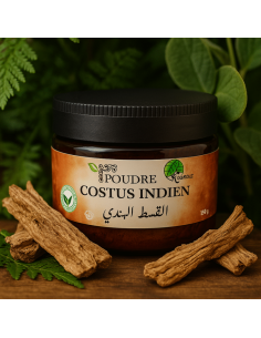 Poudre de Costus Indien – Kounouz -150G