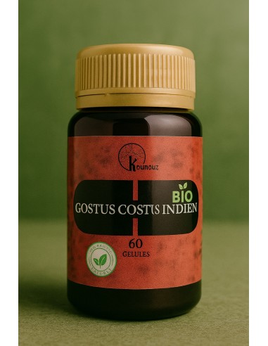 Gélule costus indien