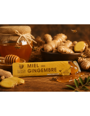 Miel au Gingembre – Stick 10 g