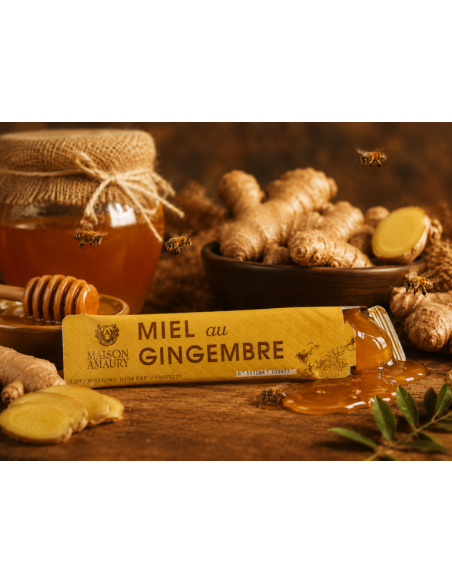 Miel au Gingembre – Stick 10 g