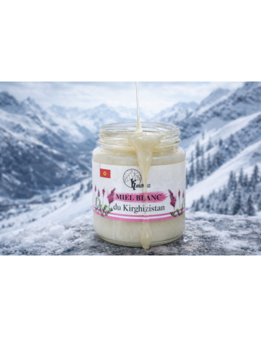 Miel blanc du Kirghizistan 250 g – crémeux et rare
