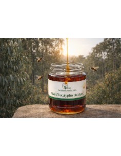 Miel d’eucalyptus du Maroc 250 g – pur 2